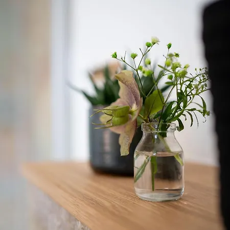 Apartment Breeze Ferienwohnung - Brise 3 *